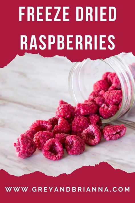 homemade freeze dried raspberries Dry Raspberries, Freeze Dry Food, Harvest Right Freeze Dryer, Freeze Dried Food, Raspberry Desserts, Recipes Learn, Freeze Dried Raspberries, Dried Food, Dried Berries