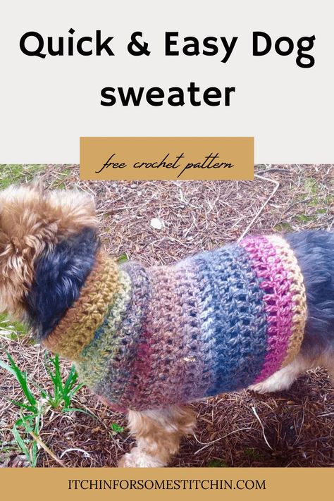 This quick and easy small dog crochet sweater pattern is perfect for making your little fur babies a warm and stylish coat for those chilly autumn & winter months. Plus, it so easy to make! Even for crochet beginners. Whip one up for your precious pet today! Click to get the free pattern. Easy Crochet Dog Sweater Simple, Free Crochet Dog Coat Pattern, Easy Small Dog Sweaters Crochet Free, Crochet Dog Coat Free Pattern Easy, Simple Dog Sweater Crochet Pattern, Chunky Crochet Dog Sweater, Crochet Sweaters For Dogs, Dachshund Dog Sweaters Free Pattern, Crochet Dog Jacket Free Pattern