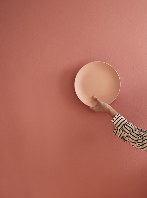 Our paint palette produced in England is made from high quality ingredients. Featured here are our Terracotta Pot painted on the wall and Peach Juice shade on the dipped plate. Terra Cotta Paint Color, Brick Wall Tiles, Terracotta Paint, Wet Room Flooring, Peach Paint, Peach Walls, Glazed Brick, Deco Rose, Gorgeous Tile