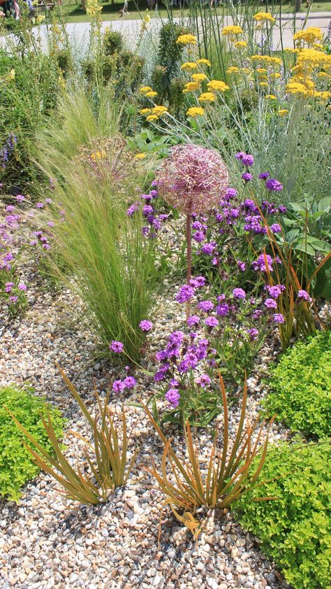 Gravel Garden Beth Chatto, Coastal Gravel Garden, Plants In Gravel Landscaping, Beth Chatto Dry Garden, Gravel Garden Plants, Planting In Gravel, Gravel Garden Planting, Plants For Gravel Gardens, Beth Chatto Garden