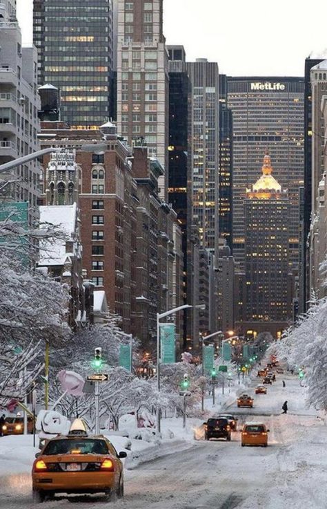 Nex York, Winter In Nyc, New York In December, Winter New York, New York Snow, Winter In New York, Winter Nyc, Photo New York, Christmas Dreaming