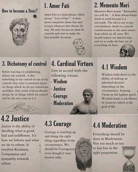 Life Philosophy Quotes, Animal Tattoo Ideas, Latin Quotes, Stoicism Quotes, Latin Phrases, Stoic Quotes, Man Up Quotes, The Stoics, Philosophical Quotes