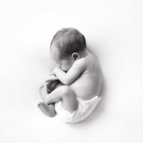 Absolutely perfect. Curled up newborn photos are my favorite Newborn Drawing Reference, Baby Reference Photos, Newborn Drawing, Minimalist Newborn, Newborn Shoots, Baby Curls, Boutique Photography, Water Birth, Human Babies