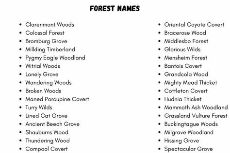 Fantasy Noble House Names, Made Up Kingdom Names, Fanasty Map Names, Name Ideas For Novel, Names Of Fantasy Places, Fantasy Names Starting With A, Fantasy Animals Names, Fantasy World Map Names, Names For Fantasy Maps