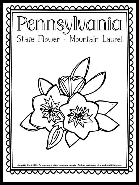 Pennsylvania State Flower Coloring Page [Mountain Laurel!] {FREE Printable!} - The Art Kit Connecticut State Flower, Connecticut Tattoo, State Flower Tattoo, Laurel Tattoo, Veil Embroidery, Bird Coloring Page, Laurel Flower, Camp America, Teach English To Kids