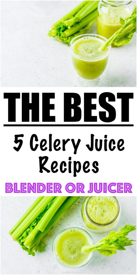 Weight Loss Celery Juice Recipe {5 RECIPES!} - Lose Weight By Eating Juice Celery Recipes, Juicing Recipes With Celery, Celery Shot Recipe, Juicing Recipes Celery, Juicing Celery Recipes, Celery Juice Vitamix Recipe, Celery Juice Benefits For Skin, Celery Green Apple Cucumber Juice, Juice Fast Recipes 30 Day