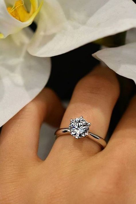 Wedding ring, accessory, jewelry, diamond ring Quince Rings, Tiffany Wedding Rings, Top Engagement Rings, Simple Engagement, Engagement Ring Rose Gold, Classic Wedding Rings, Wedding Rings Halo, Wedding Rings Solitaire, Best Engagement Rings