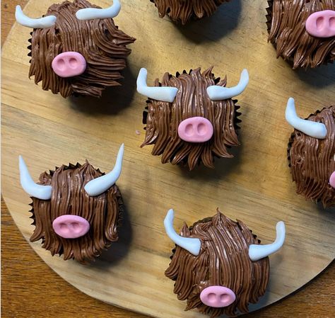 Highland Cow Cupcakes, Cow Birthday Cake, Cow Cupcakes, Cow Cakes, Cow Baby Showers, Farm Cake, Cupcake Wars, Cupcake Tray, Burns Night