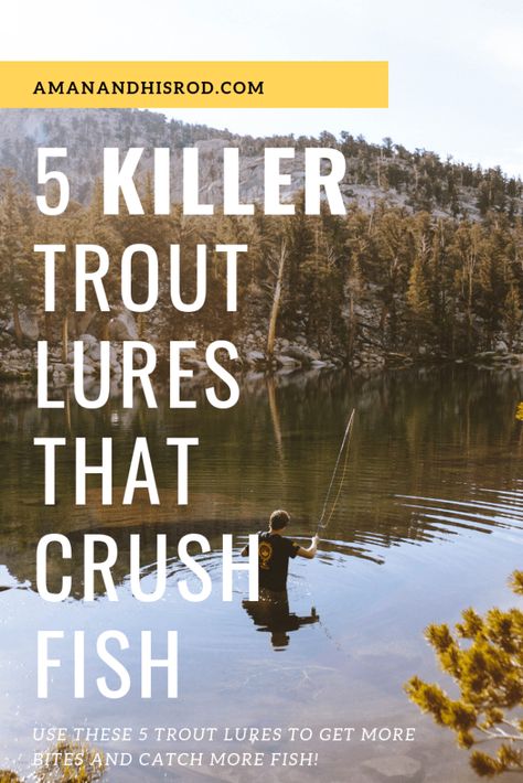 5 Killer Trout Lures That Crush Fish | A Man and His Rod Best Trout Lures, Trout Fishing Gear, Kayak Fishing Tips, Trout Fishing Lures, Trout Fishing Tips, Trout Bait, Fishing For Beginners, Fly Fishing Tips, Bass Fishing Tips