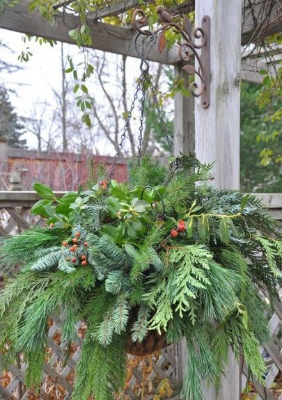 s 13 winter planter ideas for when you re missing your garden, gardening, A hanging basket full of cold weather plants Cold Weather Plants, Winter Planter Ideas, Winter Hanging Baskets, Christmas Hanging Baskets, Mason Jar Herb Garden, Yellow Brick Home, Winter Planter, Winter Porch, Christmas Planters