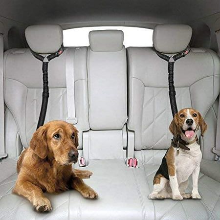 Car Headrest Restraint Leashes for Dog, Adjustable Seatbelt Tether, Car Seat Belt for Pets, Dog Safety Belt Leash, Quick & Easy Installation, Works with Any Pet Harness Carabiner Swivel Bungee Size: One Size.  Color: Black. Dog Car Harness, Dog Car Safety, Tether Car, Dog Car Seat Belt, Dog Car Accessories, Dog Seat Belt, Car Headrest, Swivel Hook, Dog Top