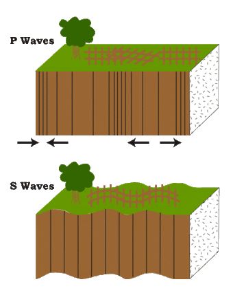 P Waves and S Waves in the Crust Waves Science, S Waves, Map Of California, Seismic Wave, P Wave, Date Hairstyles, Ocean Science, S Wave, Plate Tectonics