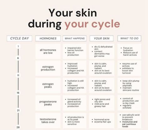 Menstrual Phase Skin Care, Ovulatory Phase Skin Care, Menstrual Cycle Skin Care, Cycle Syncing Skin Care, Period Advice, Cycle Synching, Hormone Cycle, Period Power, Ovulatory Phase