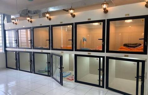 Vet Clinic Kennel Ideas, Luxury Dog Kennel Pet Hotel, Pet Daycare Design, Animal Rescue Facility, Dog Boarding Ideas In Home, Pet Grooming Design, Pet Hotel Design Dog Daycare, Vet Clinic Ideas Design, Pet Hotel Ideas