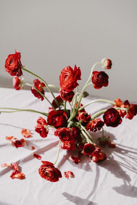 Floral arrangement made with red ranunculus. Photo: www.marcossanchez.net Flower Ikebana, Ranunculus Arrangement, Red Ranunculus, Red Flower Arrangements, Floral Therapy, Ranunculus Wedding, Ranunculus Bouquet, Red Bouquet Wedding, Red Bouquet