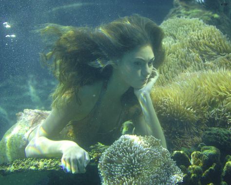 Cleo Sertori | Mermaid Wiki | Fandom H2o Aesthetic, No Ordinary Girl, H2o Mermaids, Mako Mermaids, Water Aesthetic, Water Nymphs, Real Mermaids, Mermaid Aesthetic, Mermaid Dreams