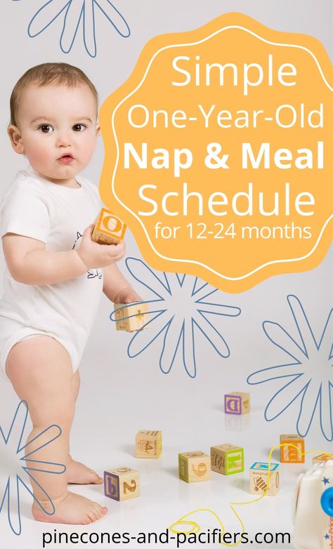 A simple and easy-to-follow schedule for your one year old. Most babies will drop from two to one naps somewhere near one years old. Learn the signs your baby is ready to drop to one nap, plus a two-nap and one-nap sample schedule to help you plan your baby's daily routine. #babyplan #babyschedule #toddlerschedule #babynapschedule #12monthschedule #toddlertips One Year Old Schedule Two Naps, One Nap Schedule, 2 Nap Baby Schedule, One Nap Schedule Baby, One Year Old Feeding Schedule, One Year Old Schedule, 12 Month Old Schedule, Sleep Hacks, Newborn Tips