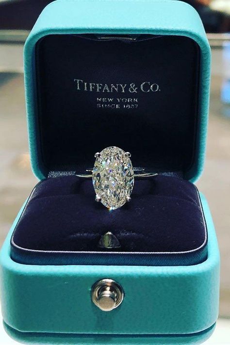 12 Most Loved Tiffany Engagement Rings-  #Hawaiiweddingplanner  #VidaChic #VidaChicEvents #DestinationWeddingPlanner #weddinginspo #weddingideas #wedding #ring #weddingring #weddingringinspo Harry Winston Engagement Ring, Tiffany Wedding Rings, Tiffany Engagement, Tiffany Engagement Ring, Ring Trends, Dream Engagement Rings, Ring Ideas, Luxury Rings, Rose Gold Engagement