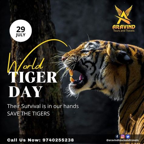 International Tiger Day is also known as Global Tiger Day is observed all over the World on the 29th of July. The significance of this day is to promote the global system of protecting the natural habitat of tigers and to raise public awareness & support for Tiger conservation. #internationaltigerday #savetigers #aravintoursandtravel #travel World Tiger Day, International Tiger Day, Tiger Habitat, Tiger Day, Tiger Conservation, Save The Tiger, Creative Posters, Endangered Species, Public School