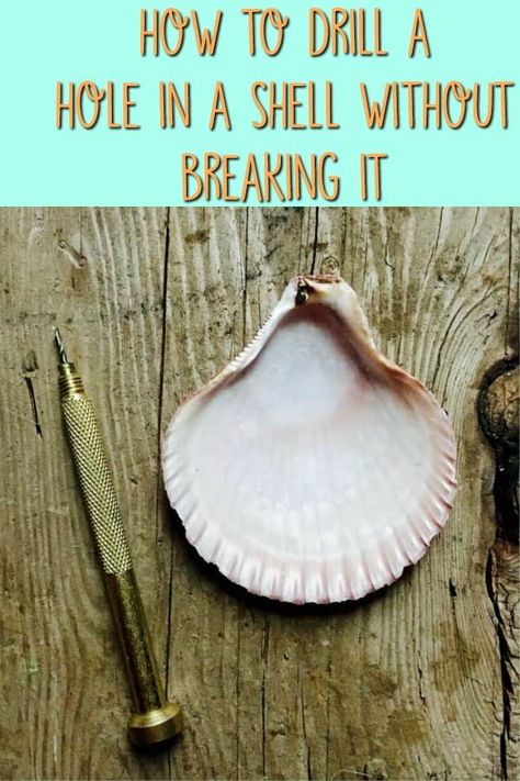 Seashell Jewelry Diy, Sea Shells Diy, Oyster Shell Crafts, Art Coquillage, Seashell Projects, Diy Hanging Shelves, Shells Diy, Shell Crafts Diy, Sea Crafts