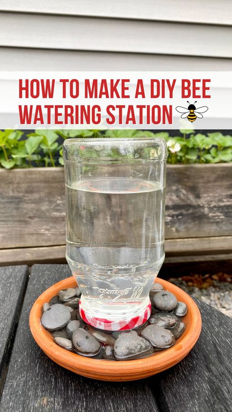 DIY Bee Watering Station Diy Pollinator Watering Station, Pollinator Water Station, Diy Bird Waterer, Bee Fountain Diy, Bee Waterer Station, Pollinator Watering Station, Butterfly And Bee Water Station, Bee Habitat Diy, Bee And Butterfly Waterer