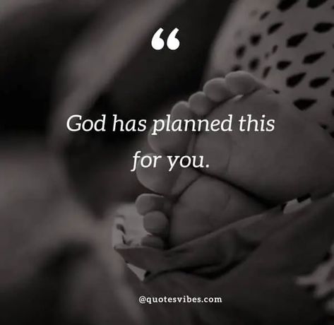 First Pregnancy Quotes, High Risk Pregnancy Quotes, Happy Pregnancy Quotes, Unexpected Pregnancy Quotes, Unborn Baby Quotes, Unplanned Pregnancy Quotes, Pregnant Quotes, Pregnancy Quotes Funny