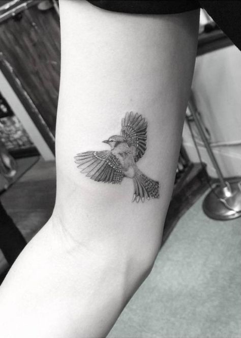 Woo Tattoo, Blue Jay Tattoo, Jay Tattoo, Bluebird Tattoo, Inner Arm Tattoos, Dr Woo, Geometric Wolf, Floral Tattoo Sleeve, Bird Tattoo