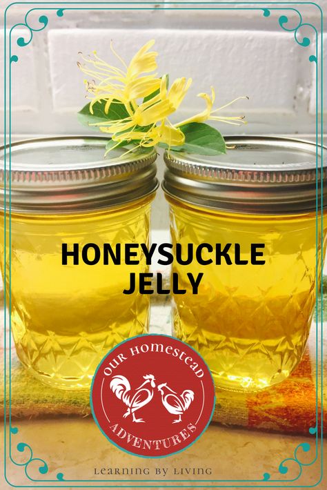 Honeysuckle Jam Recipe, How To Make Honeysuckle Jelly, Honeysuckle Syrup Recipe, Jelly Making Recipes, Flower Jelly Recipes, Homestead Items To Sell, Honey Suckle Jelly Recipe Easy, Home Made Jelly Recipes, Honeysuckle Recipe