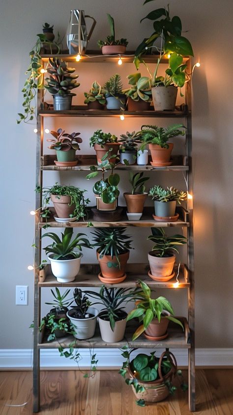 Plant Display Indoor, Indoor Living Wall, Shelf Design Ideas, Wall Plants Indoor, Living Wall Indoor, Window Plant Shelf, Wall Plants, Indoor Plant Shelves, Tiered Display