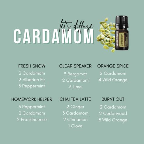 Cardamom Oil Blends, Cardamom Essential Oil Diffuser Blends, Cardamom Essential Oil Blends, Cardamom Diffuser Blends, Crunchy Living, Diffuser Blends Young Living, Candle Scents Recipes, Cleaning Naturally, Essential Oils Focus