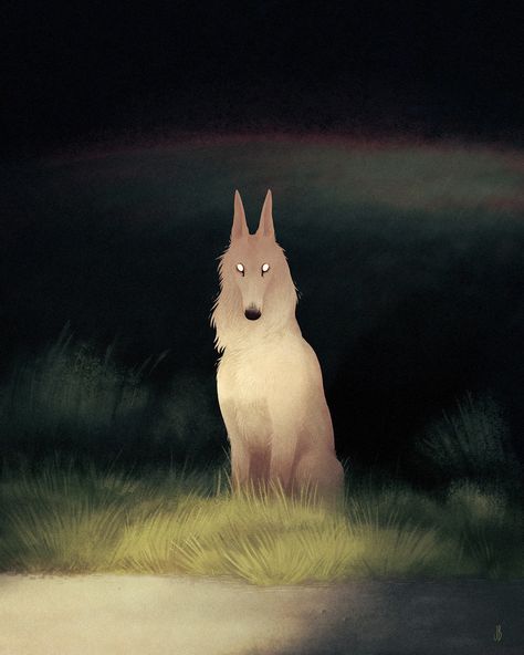 The Art Of Animation — Jenna Barton  -  http://dappermouth.tumblr.com  - ... White Wolf, At Night, The Sky, Forest, Rainbow, Green, White, Art