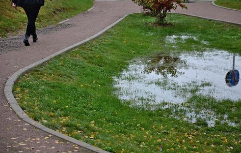 Bioretention Basins and Retaining Ponds for Stormwater Stormwater Management, Master Thesis, Collection Ideas, Artificial Turf, Rain Garden, Top Soil, Rural Area, Water Conservation, Artificial Grass