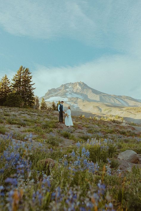 Summer Elopement at Mount Hood — Andie Avery Photography: Oregon Wedding & Elopement Photographer Oregon Elopement Photography, Portland Oregon Elopement, Elopement Ideas Colorado, Mt Hood Elopement, Montana Elopement Ideas, Mt Hood Wedding, Oregon Elopement Locations, Mountain Wedding Photography, Elopement Picture Ideas