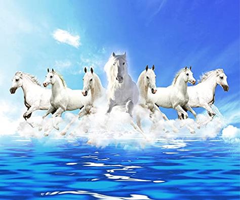 HappyWalls 7 Horses Vastu Wallpaper for Wall (Non-Woven, 6ft x 6ft) : Amazon.in: Home Improvement Horse Photo Art, 7 Hours Running Wallpaper, 7horses Wallpaper Hd, Seven Horses Wallpaper Hd, 7horses Wallpaper, 7 Horses Running Painting Vastu Hd, 7 Horses Running Painting Vastu, 7 Horses Running Painting, Running Horse Wallpaper