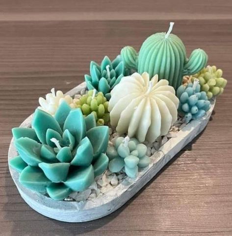 Candle Buisness Idea, Homemade Candle Ideas, Candles Trends, Succulent Candle, Candle Bouquet, Creation Bougie, Baby Candle, Succulents Candles, Soya Mumu