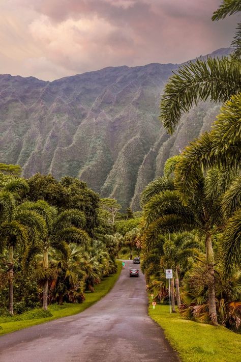 Oahu Bucket List: 46 of the Best Things to do in Oahu | Ho'omaluhia Botanical Gardens #simplywander #oahu #hawaii Oahu Vacation, Turtle Bay Resort, Vacations In The Us, Moving To Hawaii, Beach Cove, Hawaii Pictures, University Of Hawaii, Hawaii Life, Hawaii Beaches