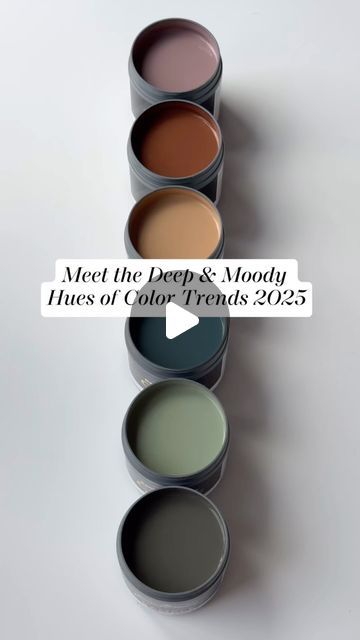 Benjamin Moore on Instagram: "Envelop your space in the moody hues from the #ColorTrends2025 palette, including the Color of the Year 2025, Cinnamon Slate 2113-40. Whether you choose a cider-like brown like Chowning’s Tan CW-195 or a jewel tone like Stained Glass CSP-685, you’ll be setting a dramatic and sophisticated tone throughout your home. Watch above to discover their beauty, then visit our website or a locally owned store to purchase a color sample. #BenjaminMoore #Paint #Home #InteriorDesign #ColoroftheYear" Benjamin Moore Paint Color Palettes, Moody Living Room Paint Color Ideas, 2 Tone Room Paint Bedrooms, Cinnamon Slate Color Palette, Whole House Colour Scheme, Jewel Paint Colors, Benjamin Moore Color Of The Year, Sophisticated Paint Colors, Benjamin Moore 2025 Color Of The Year