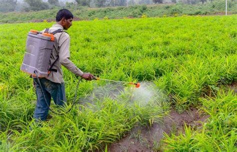 Herbicides And Pesticides, Science Collage, Pesticides For Plants, Agriculture Pictures, Agriculture Photos, Killing Weeds, Agriculture Projects, Kill Bugs, Caricature Wedding