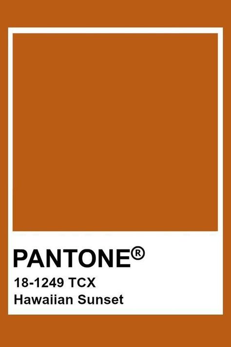 Marmalade Aesthetic Color, Pantone Tcx Orange, Pantone Avocado, Orange Pantone Color, Orange Pantone, Pantone Orange, Pantone Tcx, Pantone 2017, Pantone Colours