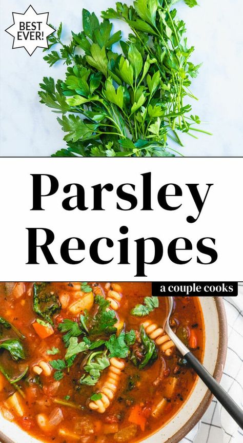 Recipes With Parsley Dinners, Things To Make With Fresh Parsley, How To Use Fresh Parsley, Ways To Use Fresh Parsley, Meals With Parsley, Recipes That Use Parsley, Uses For Parsley, How To Use Parsley, Flat Leaf Parsley Recipes