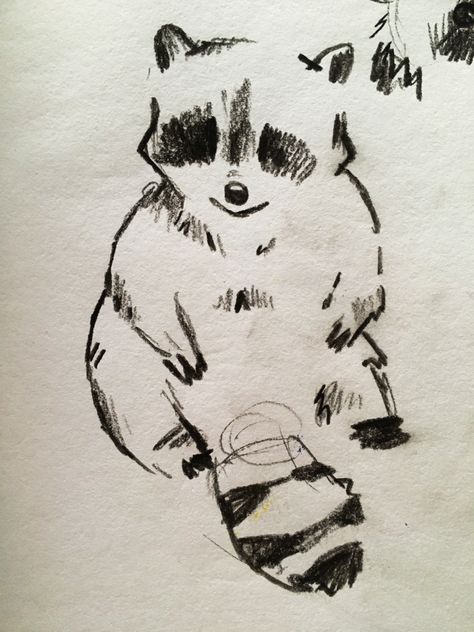 Drawing Of A Raccoon, Raccoon Sitting Drawing, Drawing Of Raccoon, Cute Charcoal Drawings, Sketches On Homework, Cute Animal Sketches Doodles, Random Doodle Ideas, Small Animal Sketches, How To Draw With Charcoal Pencils