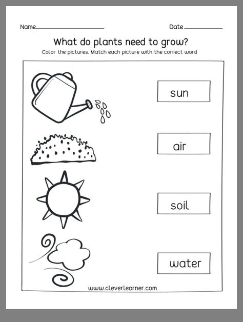 First Grade Science Worksheets, Free Science Worksheets, Science Safety, 1st Grade Science, First Grade Science, First Grade Worksheets, About Science, Science Articles, Kindergarten Science