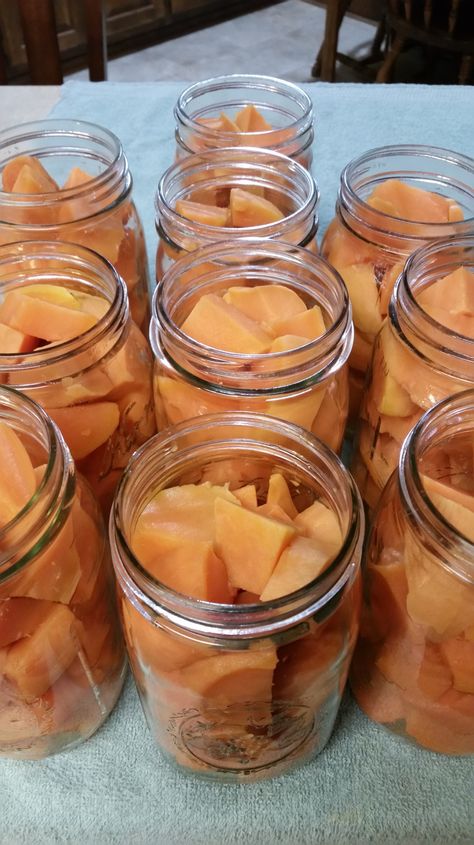 Recipes For Potatoes, Canning Squash, Canned Sweet Potato Recipes, Canning Veggies, Summer Canning, Canned Veggies, Canning Potatoes, Emergency Planning, Pressure Canning Recipes