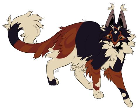 Warrior cat fanatic on Tumblr Calico Warrior Cat Oc, Mothwing Warrior Cats, Redtail Warrior Cats, Warrior Cats Reference Sheet, Warrior Cats Art Oc, Sol Warriors, Warrior Cats Adoptables, Warrior Cats Reference, Warrior Cat Oc Ideas