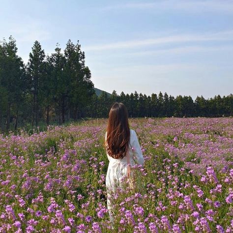 Beautiful Photoshoot Ideas, Photo Recreation, Korean Japanese, Photography Posing Guide, Aesthetic Nature, Nature Flowers, Lilac Flowers, Nature Garden, Aesthetic Photography Nature