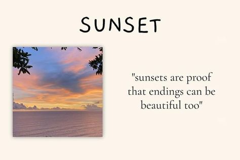 Bittersweet Quotes, Nature Quote, Aesthetics Quote, Best Sunset, Karma Quotes, Look At The Stars, Nature Quotes, Short Quotes, Family Quotes