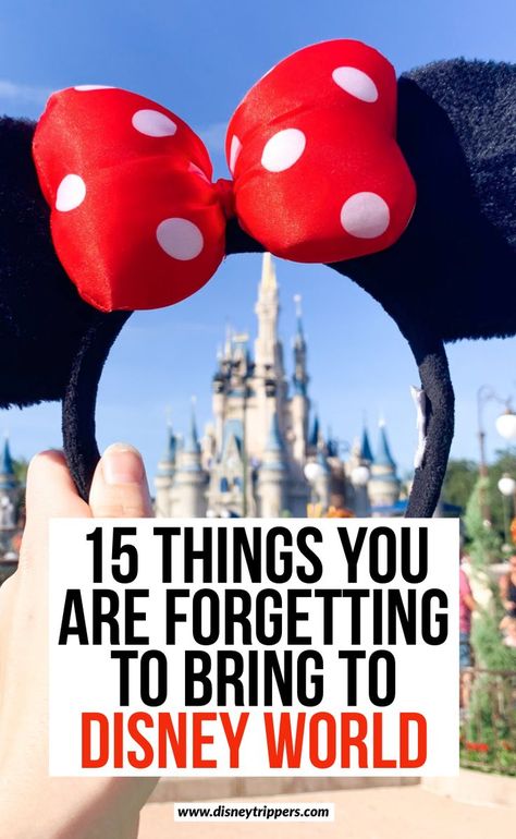 List Of Things To Bring To Disney, Things To Wear To Disney World, Disney Plane Outfit, Packing For Disney World In November, Family Outfits Disney World, Clothes To Wear To Disney World, Disney In February What To Wear To, Disneyworld Outfit February, Packing For Disney World In December