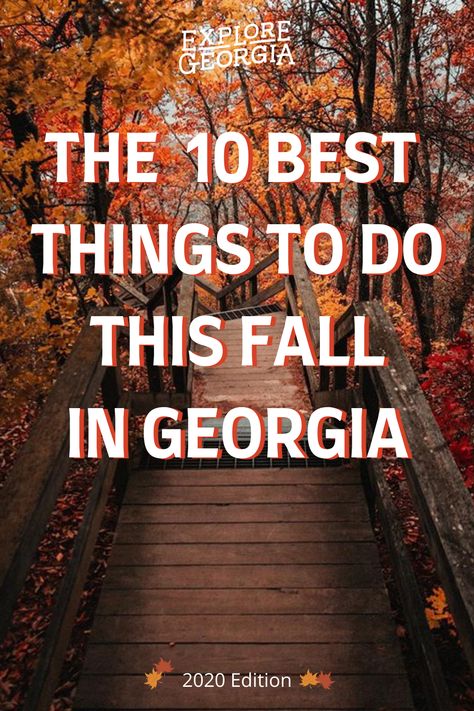 Georgia In The Fall, Fall In Georgia, Georgia Attractions, Georgia Getaways, Georgia Fall, Georgia Trip, Georgia State Parks, Mountains Vacation, Helen Ga