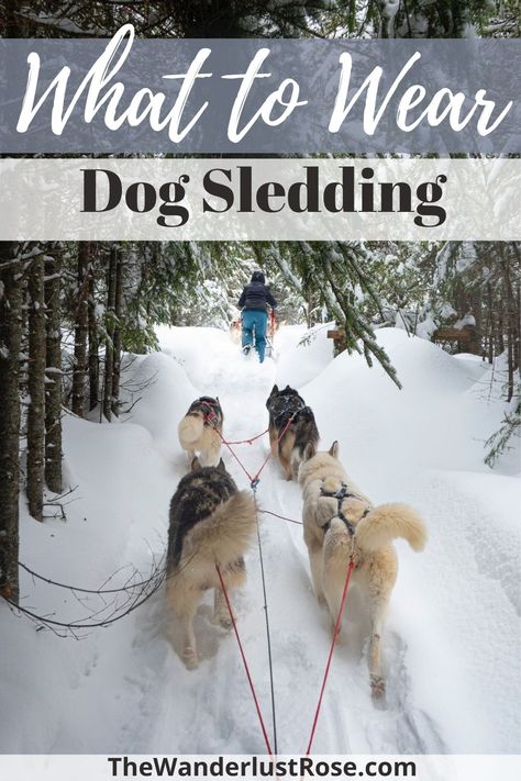 Dog Sledding Outfit, Sledding Outfit, Dog Mushing, Dog Sleigh, Alaska Dog, Sled Dogs, Ice Castle, Colorado Trip, Minnesota Travel