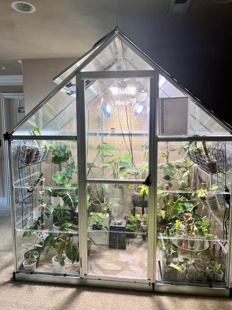 Indoor Greenhouse Room Sunrooms, Indoor Green House Ideas, Basement Grow Room, Indoor Greenhouse Room, Green House Indoor, Inside Greenhouse Ideas, Upcycled Greenhouse, Indoor Grow Room, Greenhouse Cabinet